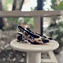 Pauta_18 1080.webp