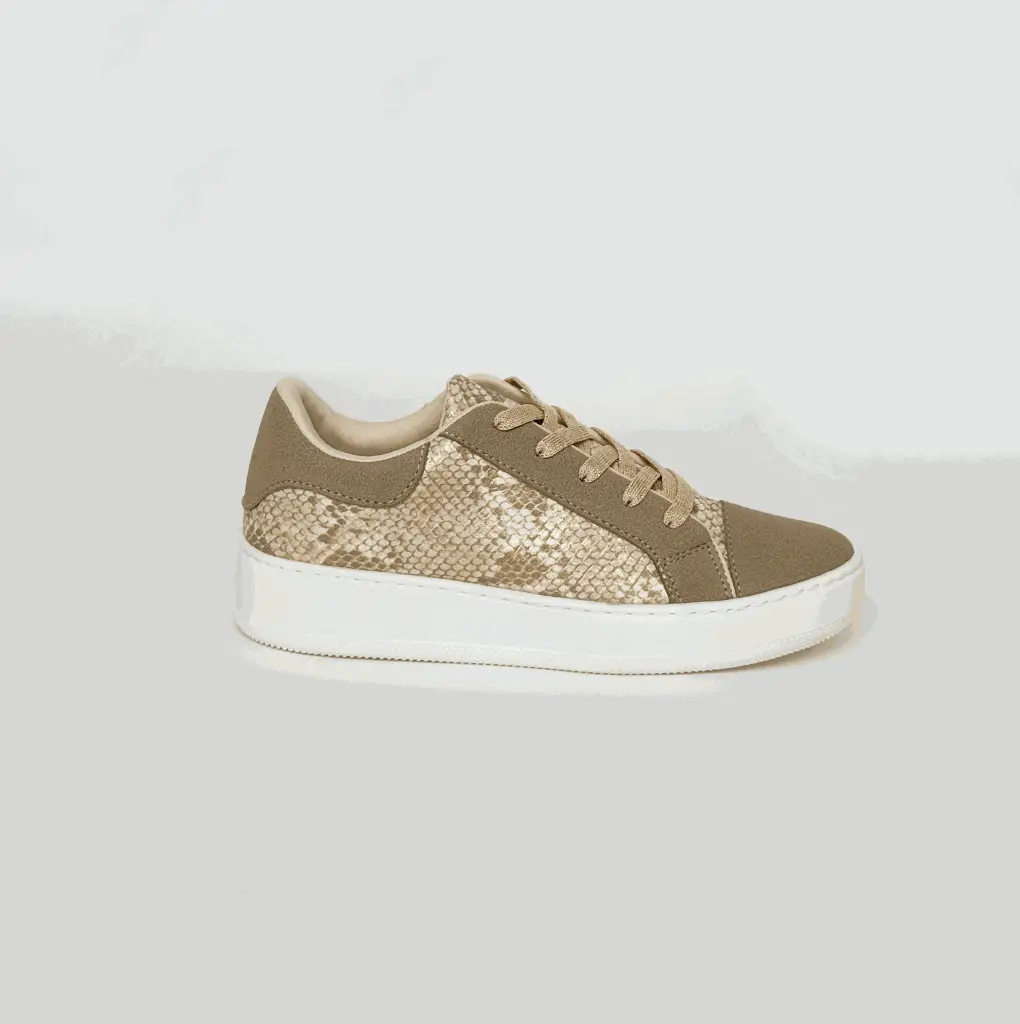 TRIUNFO OCTUBRE_IMG_1596.webp