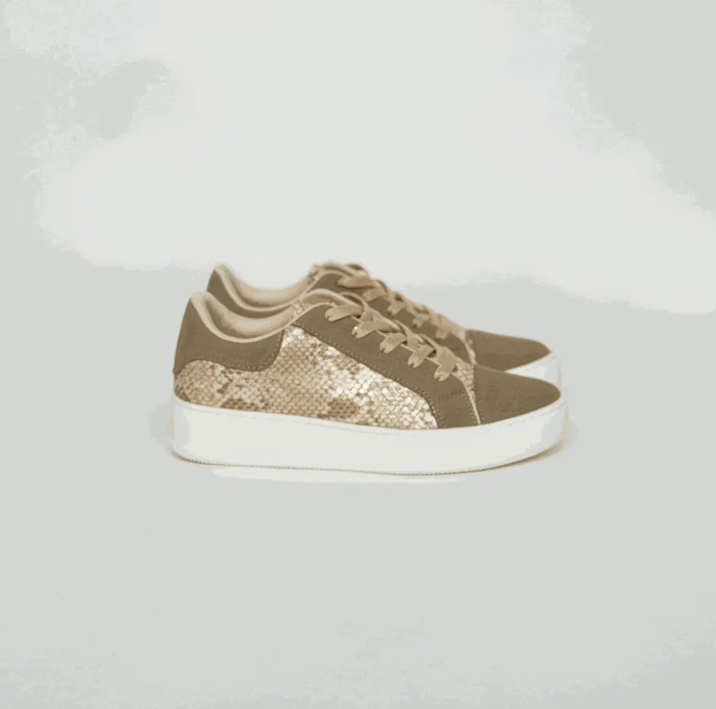 TRIUNFO OCTUBRE_IMG_1594.webp