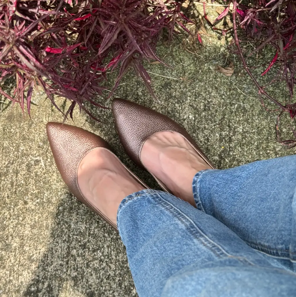 Zapato Puntudo Destalonado