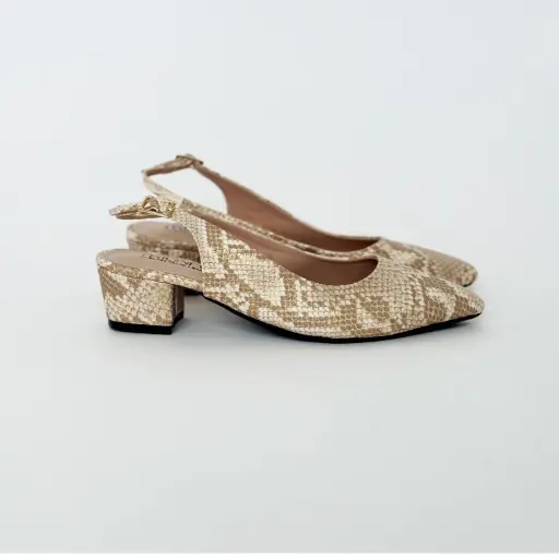 Zapato Puntudo Destalonado