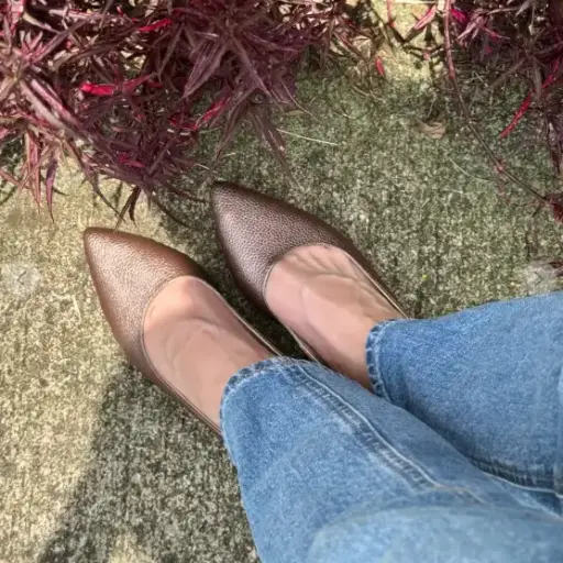 Zapato Puntudo Destalonado